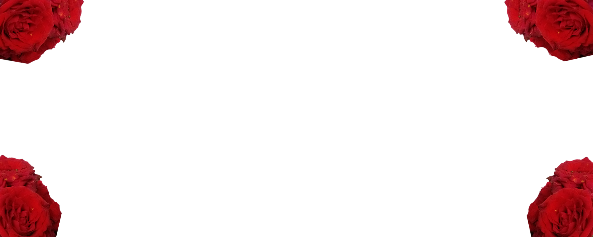 Border images / lines / design / pictures / background colors / background pictures