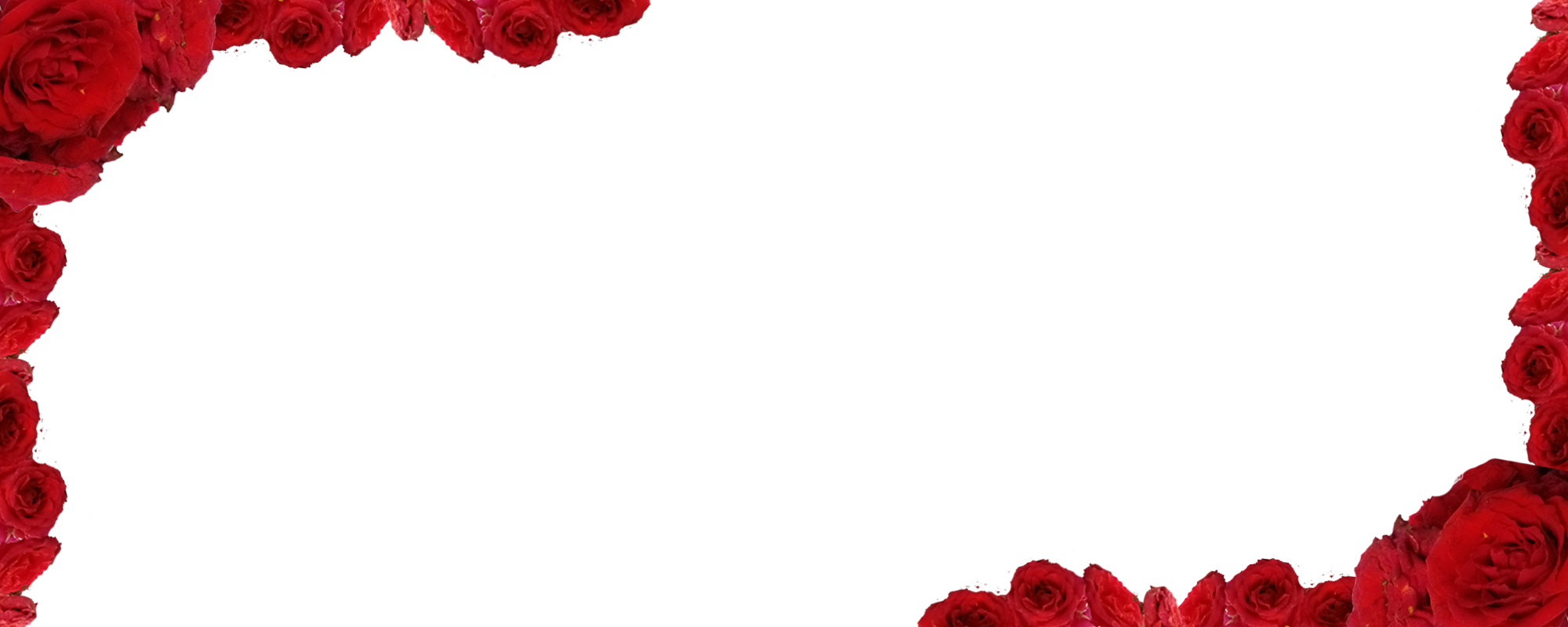 Border images / lines / design / pictures / background colors / background pictures