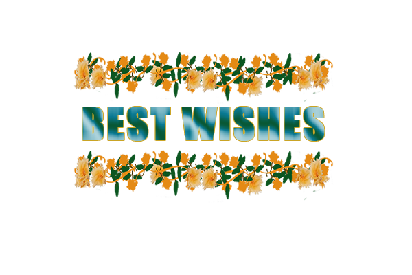 Border images / lines / design / pictures / background colors / background pictures