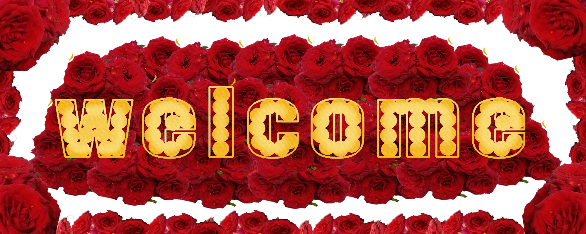 Border images / lines / design / pictures / background colors / background pictures