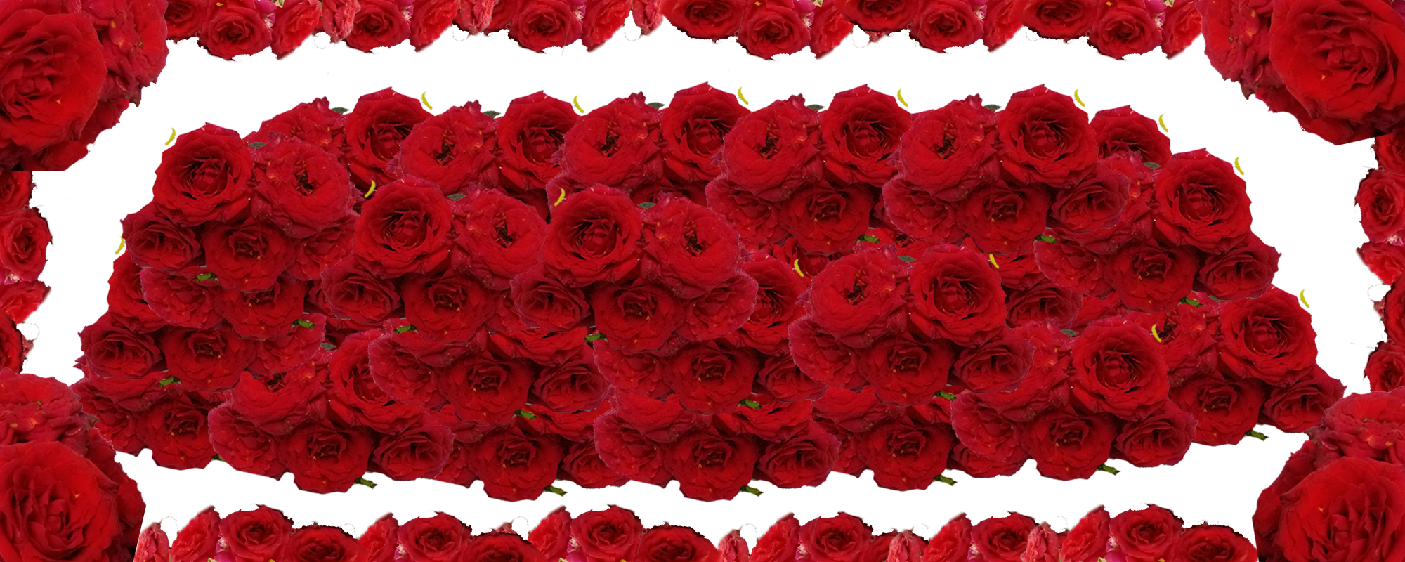 Border images / lines / design / pictures / background colors / background pictures