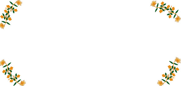 Border images / lines / design / pictures / background colors / background pictures