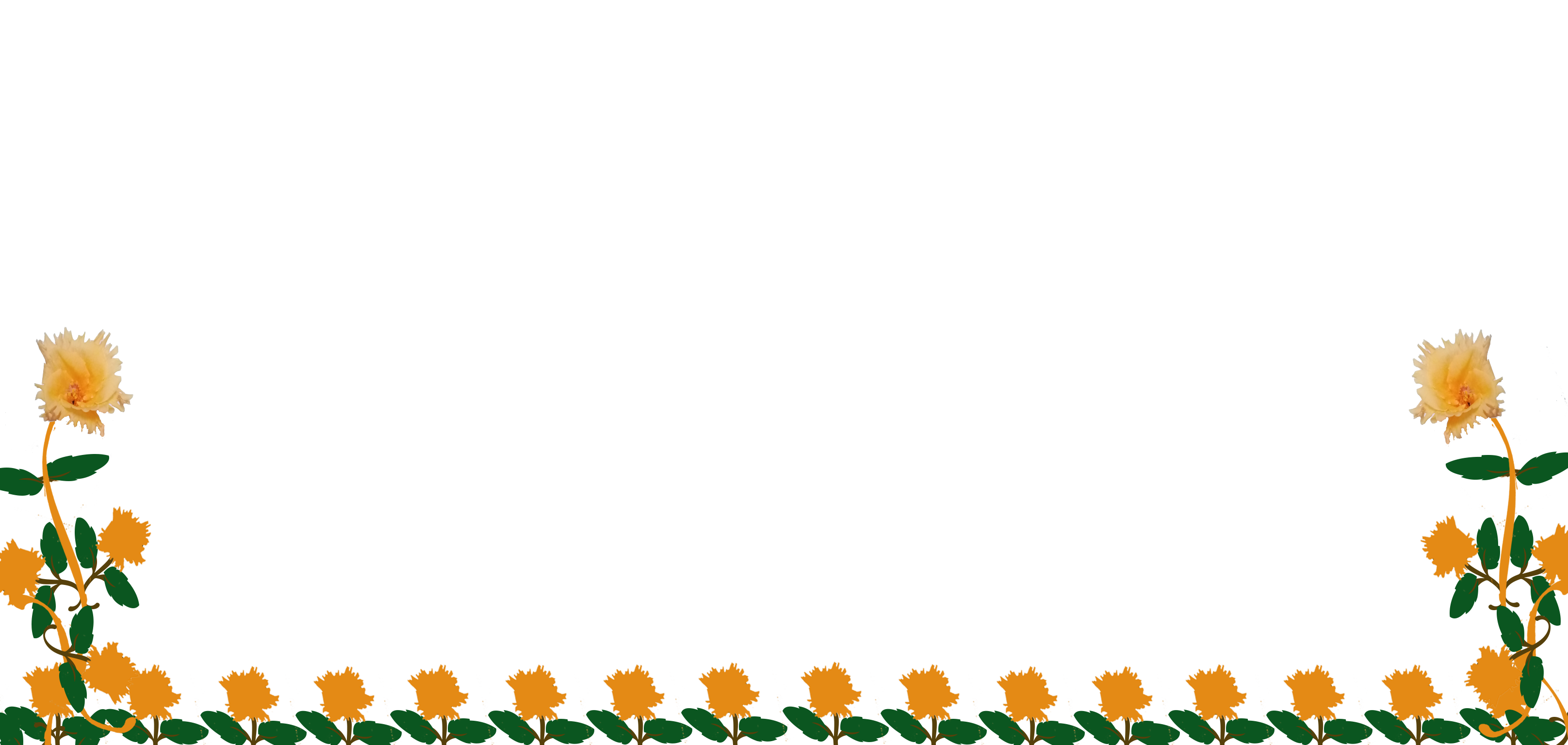 Border images / lines / design / pictures / background colors / background pictures