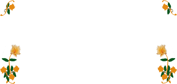 Border images / lines / design / pictures / background colors / background pictures