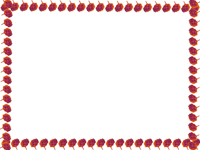 Border images / lines / design / pictures / background colors / background pictures