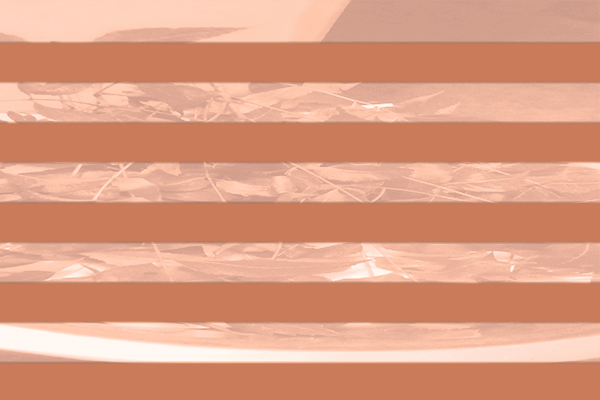 Border images / lines / design / pictures / background colors / background pictures