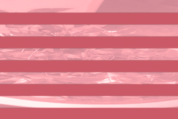 Border images / lines / design / pictures / background colors / background pictures