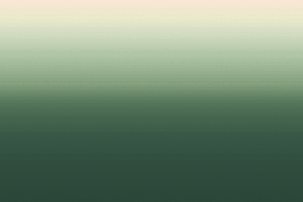 Border images / lines / design / pictures / background colors / background pictures