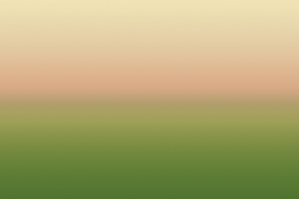 Border images / lines / design / pictures / background colors / background pictures