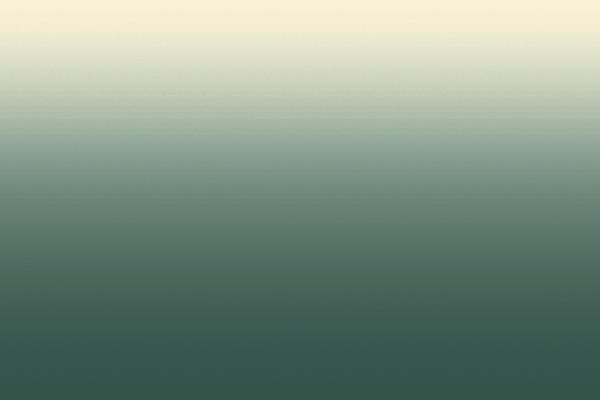 Border images / lines / design / pictures / background colors / background pictures