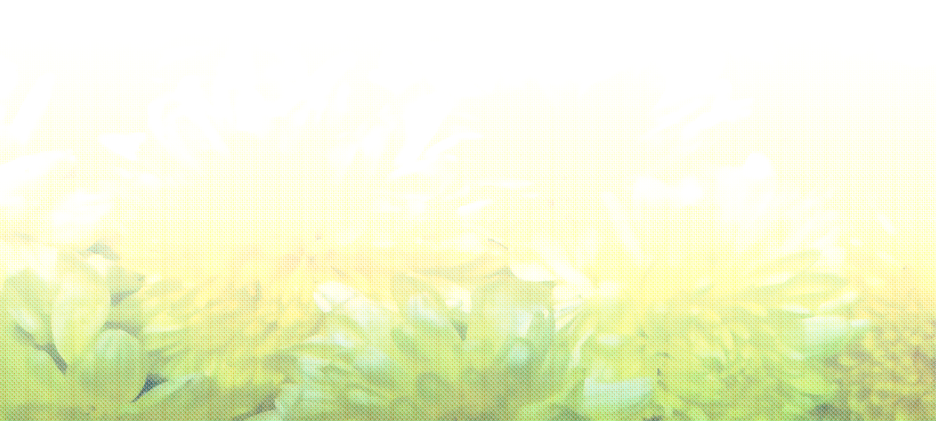 Border images / lines / design / pictures / background colors / background pictures