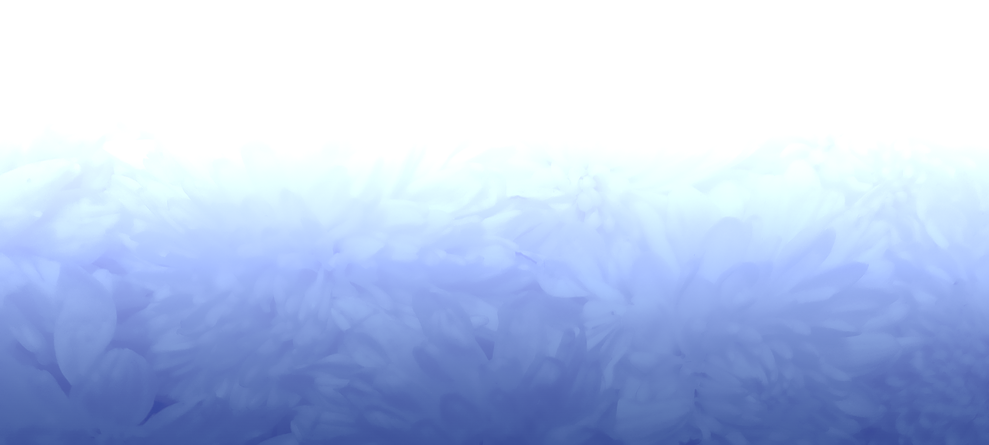 Border images / lines / design / pictures / background colors / background pictures