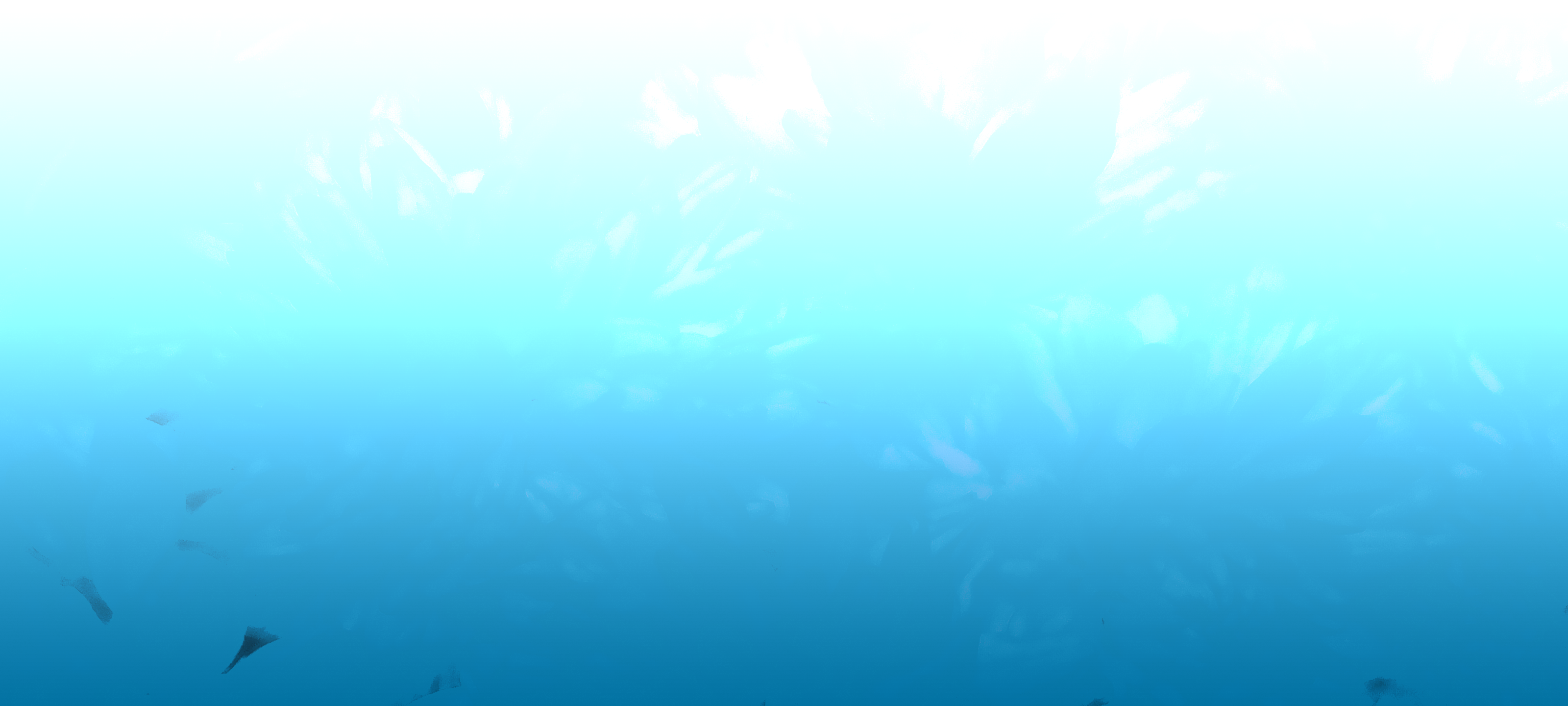 Border images / lines / design / pictures / background colors / background pictures