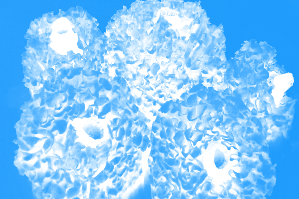 Border images / lines / design / pictures / background colors / background pictures