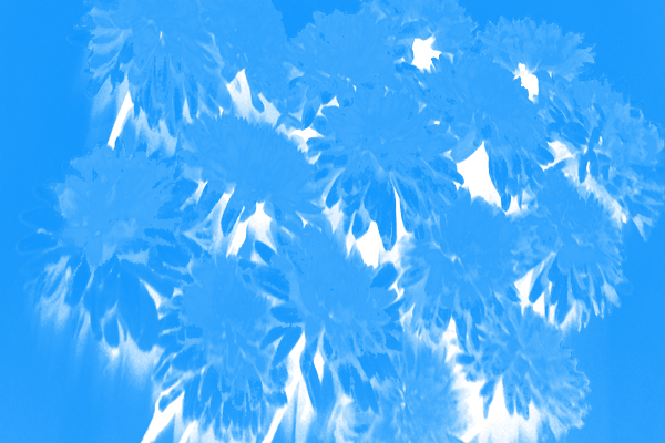 Border images / lines / design / pictures / background colors / background pictures