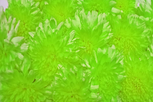 Border images / lines / design / pictures / background colors / background pictures