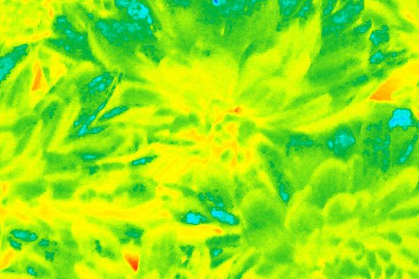 Border images / lines / design / pictures / background colors / background pictures