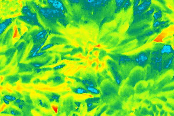 Border images / lines / design / pictures / background colors / background pictures