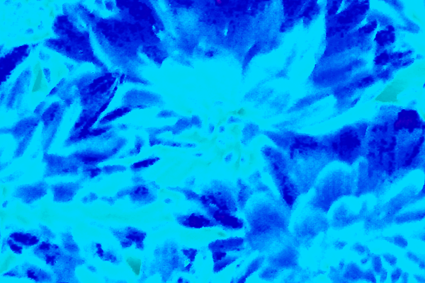 Border images / lines / design / pictures / background colors / background pictures