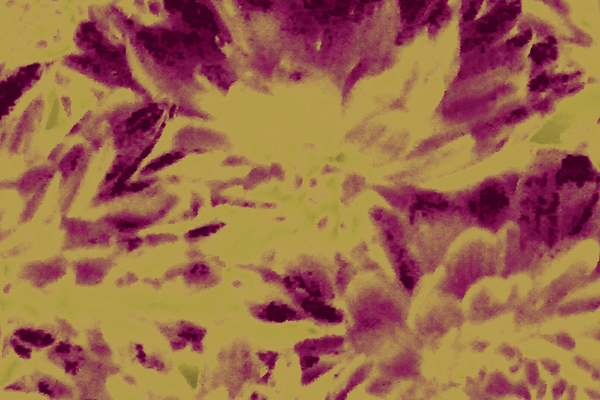 Border images / lines / design / pictures / background colors / background pictures