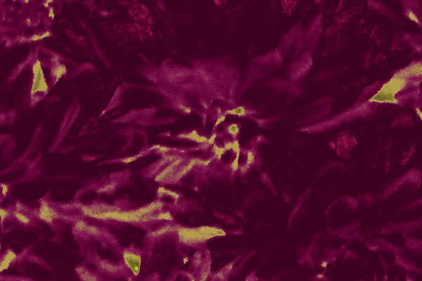 Border images / lines / design / pictures / background colors / background pictures