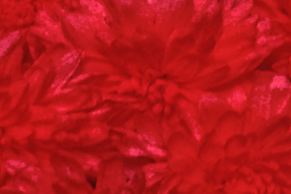 Border images / lines / design / pictures / background colors / background pictures