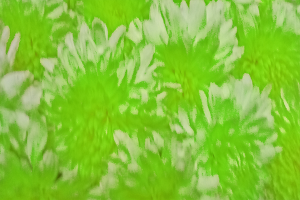 Border images / lines / design / pictures / background colors / background pictures