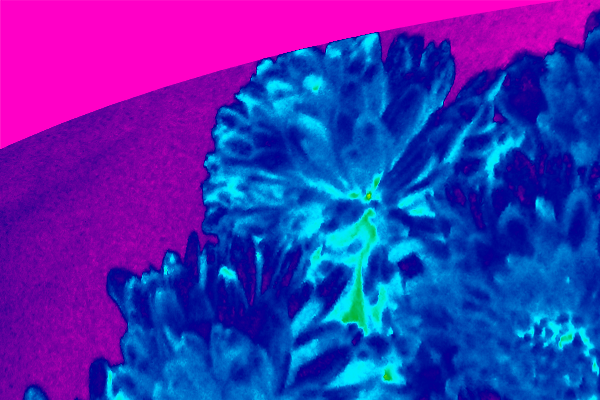 Border images / lines / design / pictures / background colors / background pictures