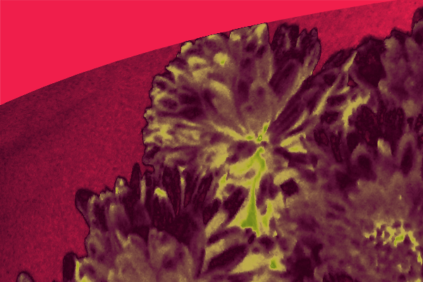 Border images / lines / design / pictures / background colors / background pictures