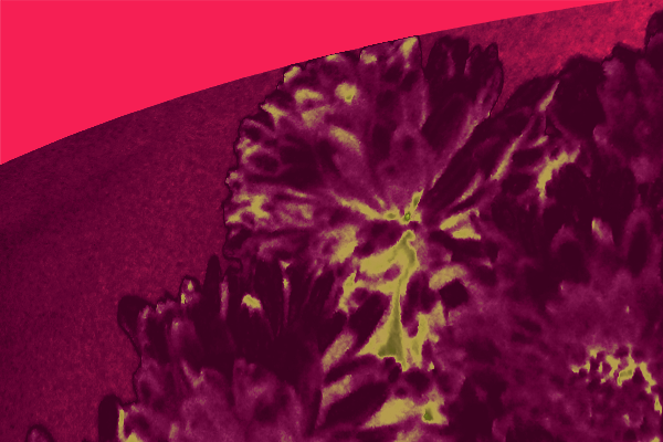 Border images / lines / design / pictures / background colors / background pictures