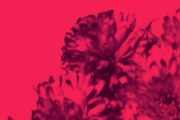 Border images / lines / design / pictures / background colors / background pictures