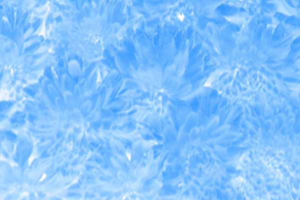 Border images / lines / design / pictures / background colors / background pictures