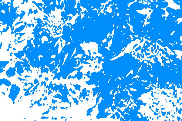 Border images / lines / design / pictures / background colors / background pictures