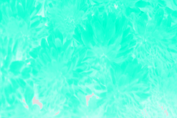 Border images / lines / design / pictures / background colors / background pictures