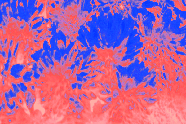 Border images / lines / design / pictures / background colors / background pictures