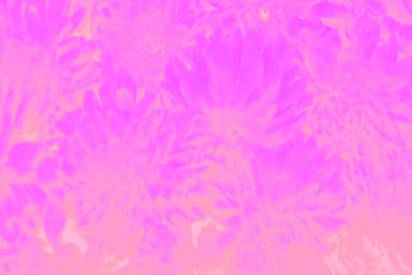 Border images / lines / design / pictures / background colors / background pictures