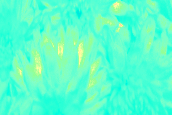 Border images / lines / design / pictures / background colors / background pictures