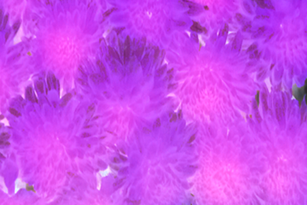 Border images / lines / design / pictures / background colors / background pictures