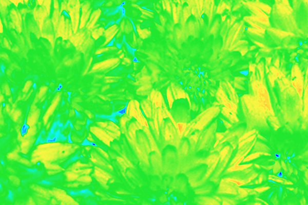 Border images / lines / design / pictures / background colors / background pictures