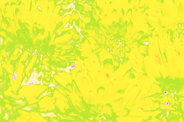 Border images / lines / design / pictures / background colors / background pictures