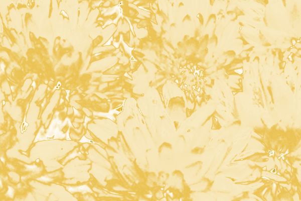 Border images / lines / design / pictures / background colors / background pictures