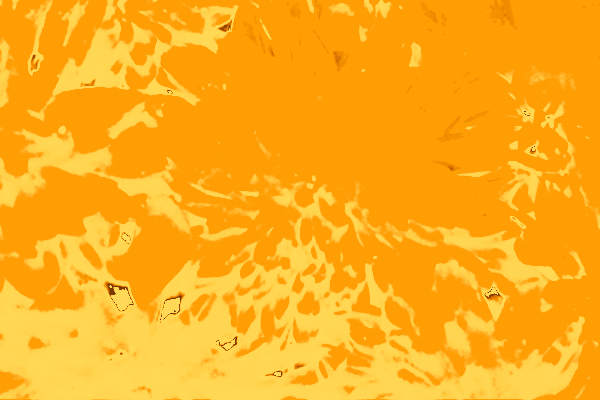 Border images / lines / design / pictures / background colors / background pictures