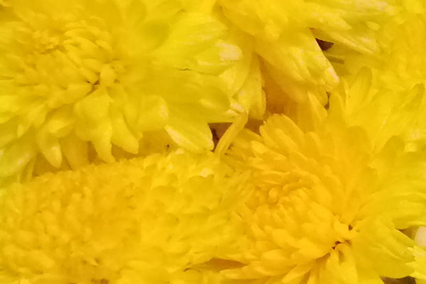 Border images / lines / design / pictures / background colors / background pictures