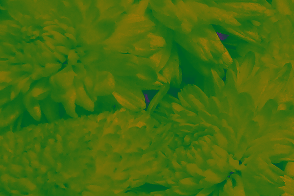 Border images / lines / design / pictures / background colors / background pictures