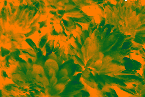 Border images / lines / design / pictures / background colors / background pictures