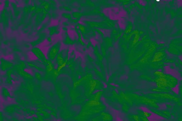 Border images / lines / design / pictures / background colors / background pictures