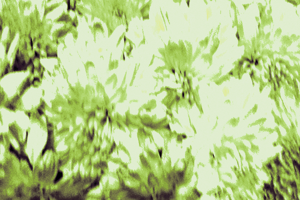 Border images / lines / design / pictures / background colors / background pictures