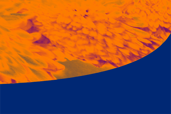 Border images / lines / design / pictures / background colors / background pictures