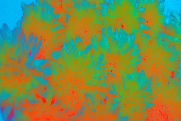 Border images / lines / design / pictures / background colors / background pictures