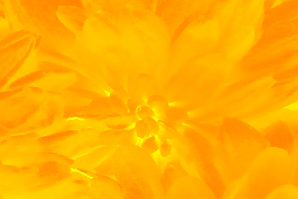 Border images / lines / design / pictures / background colors / background pictures